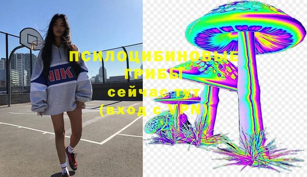 шишки Гусиноозёрск