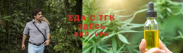 шишки Гусиноозёрск