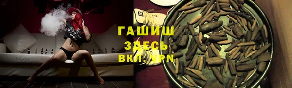 шишки Гусиноозёрск
