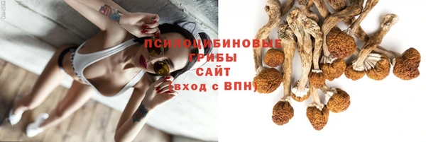 шишки Гусиноозёрск