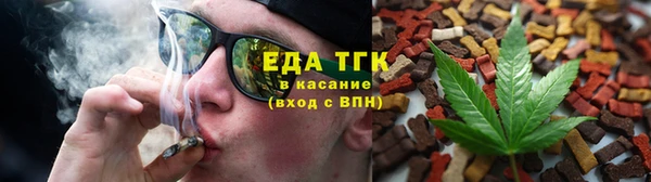 шишки Гусиноозёрск