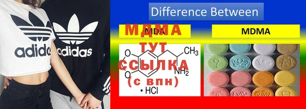шишки Гусиноозёрск