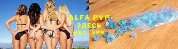 шишки Гусиноозёрск