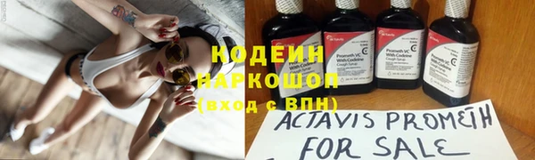 не бодяженный Гусь-Хрустальный