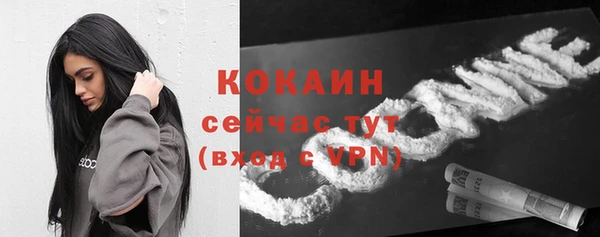 Альфа ПВП Шали