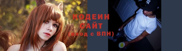 шишки Гусиноозёрск