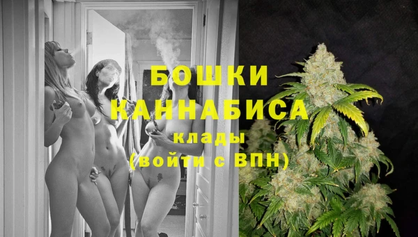 шишки Гусиноозёрск