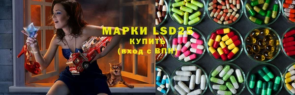 спиды Гусев