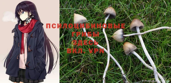 шишки Гусиноозёрск