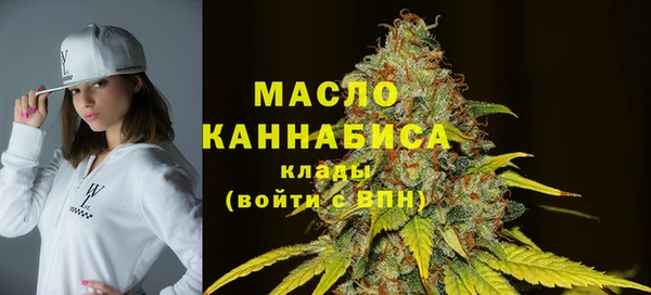 шишки Гусиноозёрск