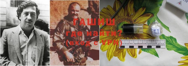 спиды Гусев