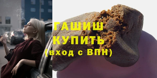 шишки Гусиноозёрск
