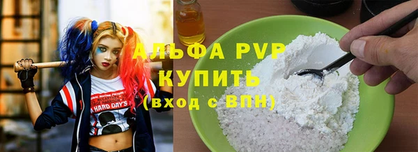 спиды Гусев