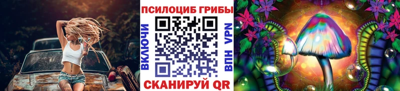 Псилоцибиновые грибы Psilocybine cubensis  купить наркотик  Новосокольники 